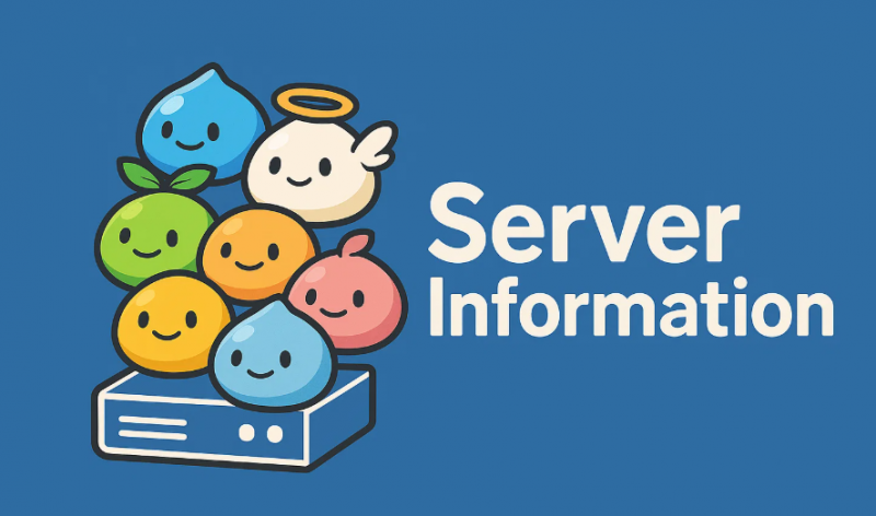 File:Server information.png